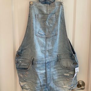 American Eagle Overall Shorts
